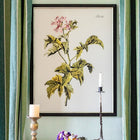 Botanical III Framed Art