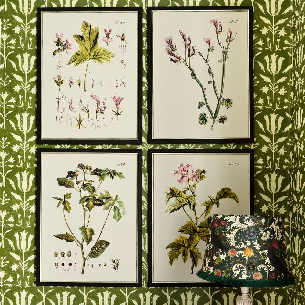 Botanical VI Framed Art