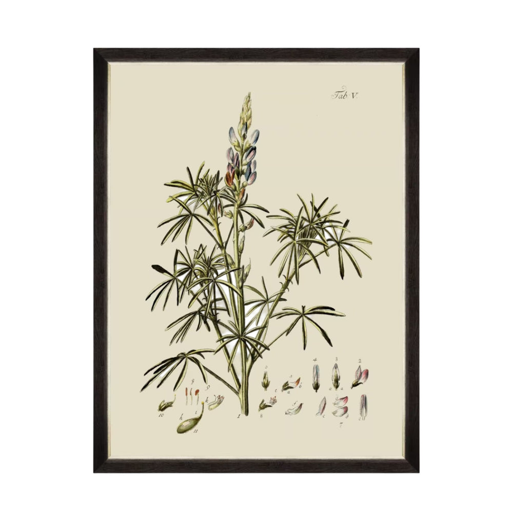 Botanical VI Framed Art