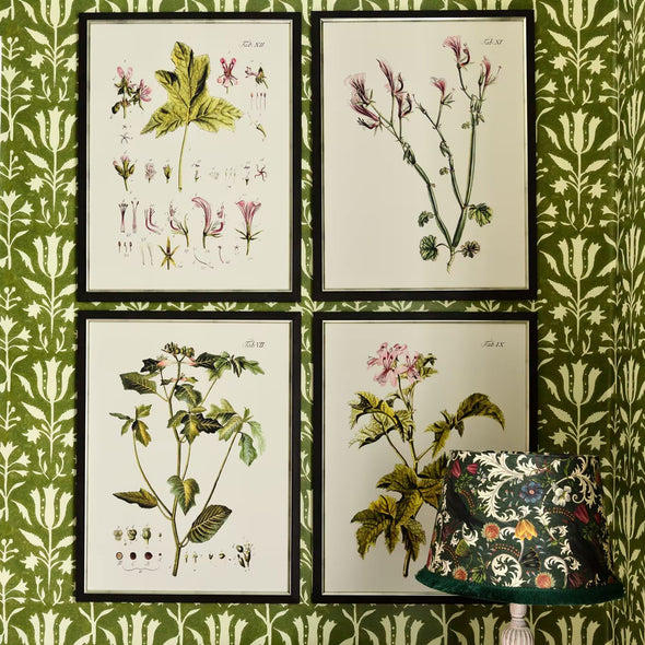 Botanical V Framed Art