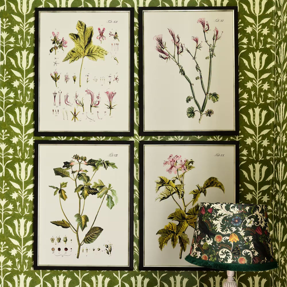 Botanical IV Framed Art