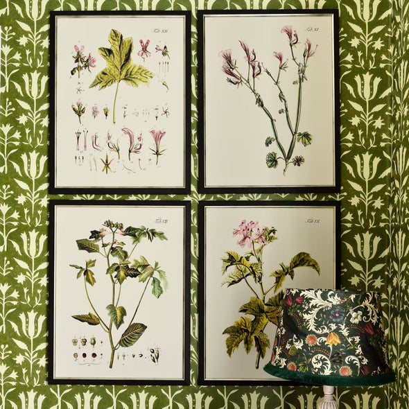 Botanical IV Framed Art