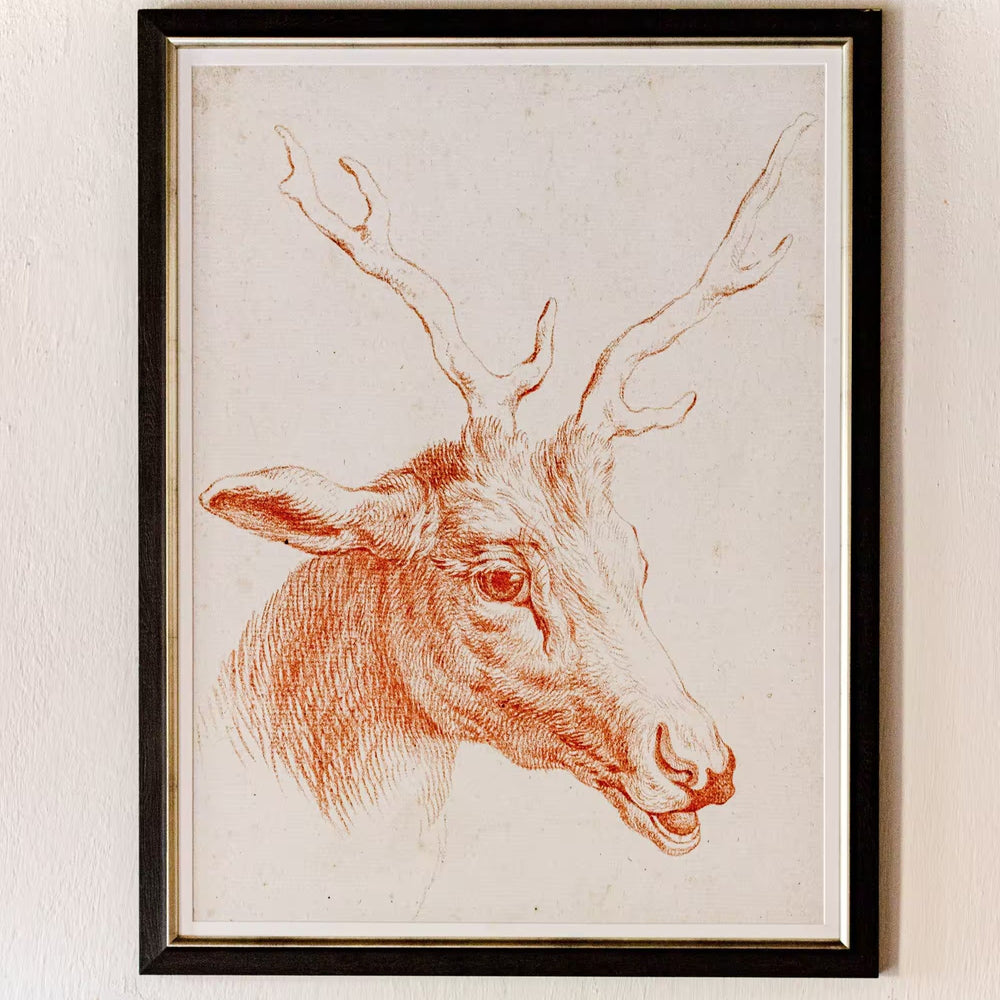 Deer Head Framed Art