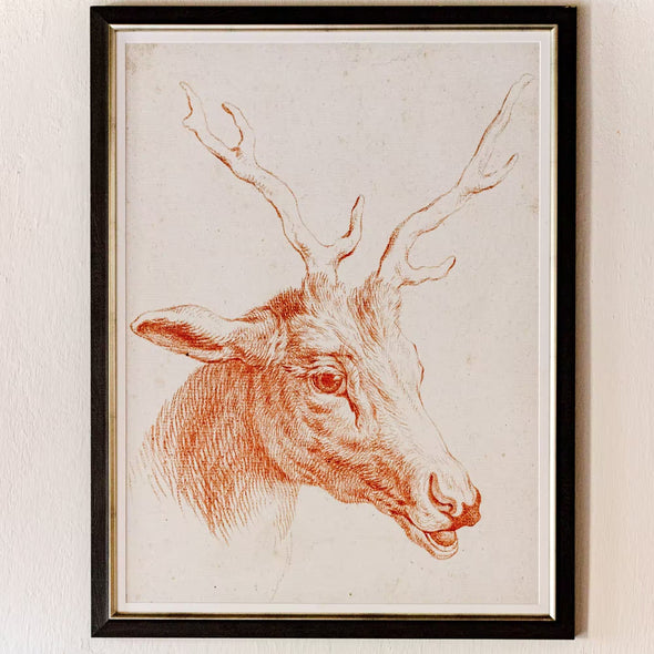 Deer Head Framed Art