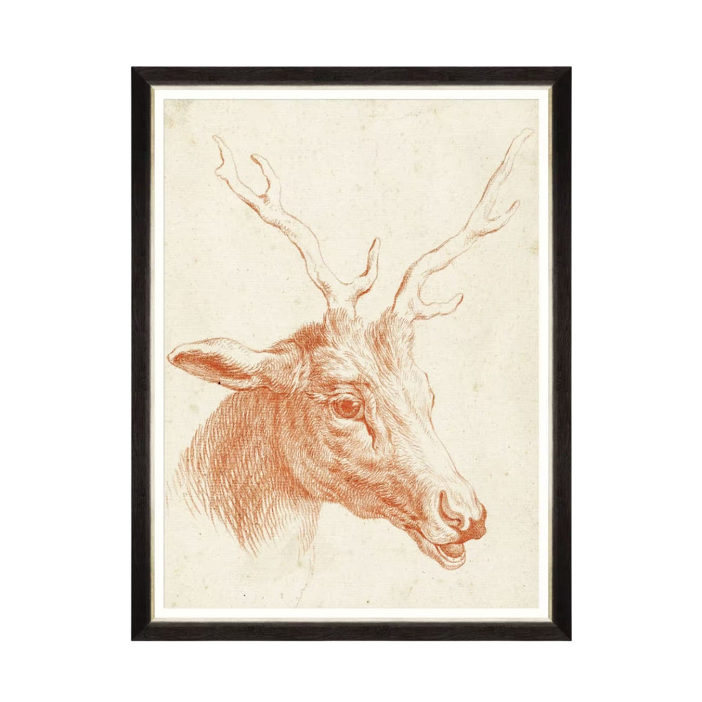 Deer Head Framed Art