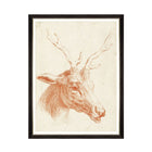 Deer Head Framed Art