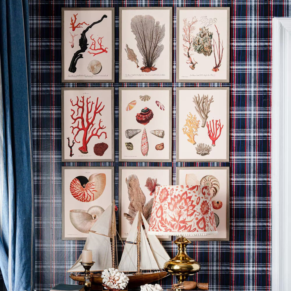 Deliciae Naturae III Framed Art