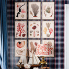 Deliciae Naturae III Framed Art