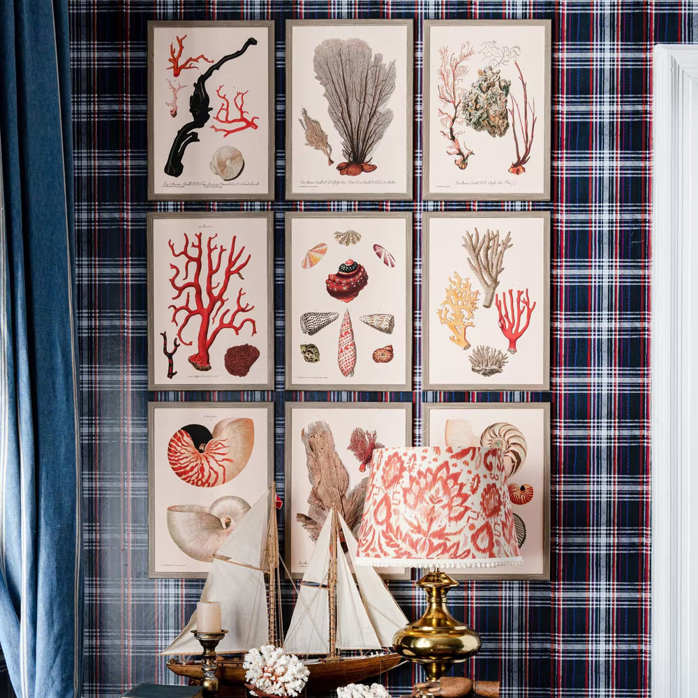 Deliciae Naturae IV Framed Art