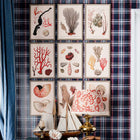 Deliciae Naturae IV Framed Art