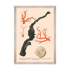 Deliciae Naturae IV Framed Art