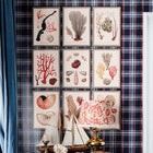 Deliciae Naturae V Framed Art