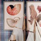 Deliciae Naturae VI Framed Art