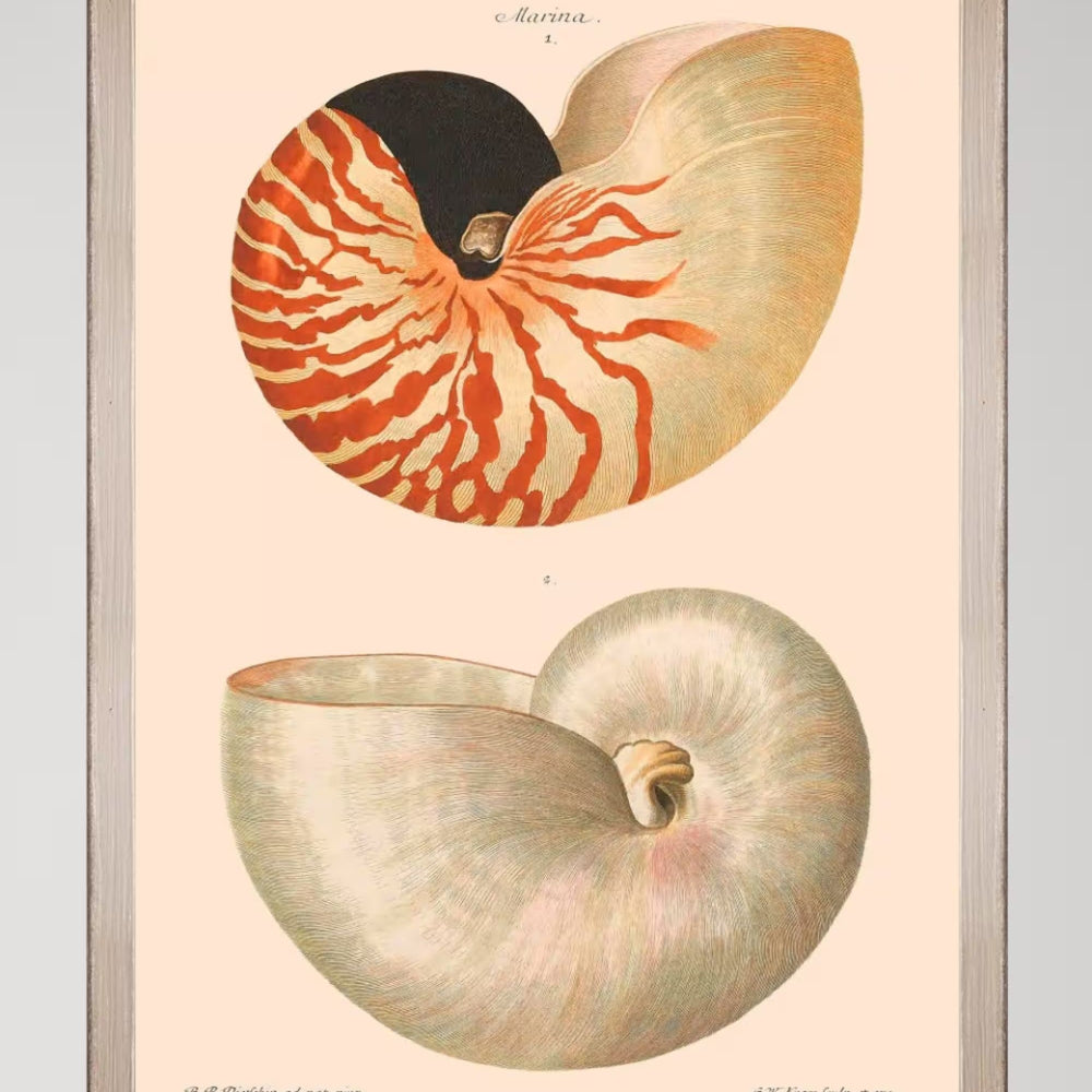 Deliciae Naturae VI Framed Art