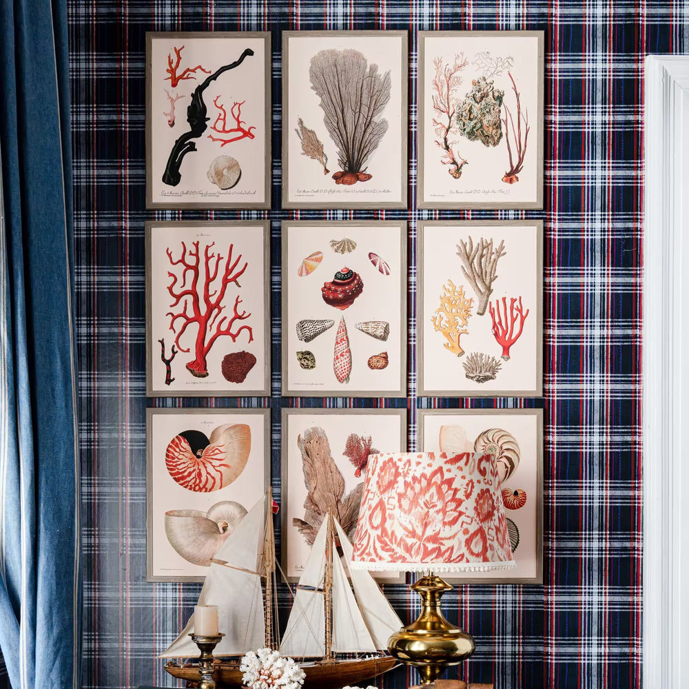 Deliciae Naturae VI Framed Art