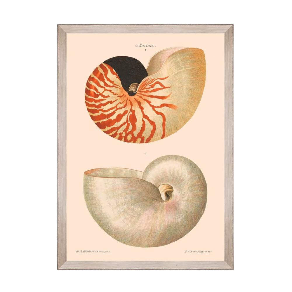 Deliciae Naturae VI Framed Art