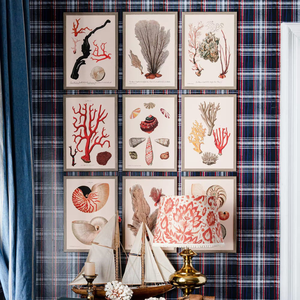 Deliciae Naturae VII Framed Art