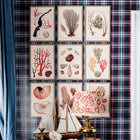 Deliciae Naturae VII Framed Art