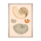 Deliciae Naturae VII Framed Art