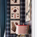 Deliciae Naturae VIII Framed Art