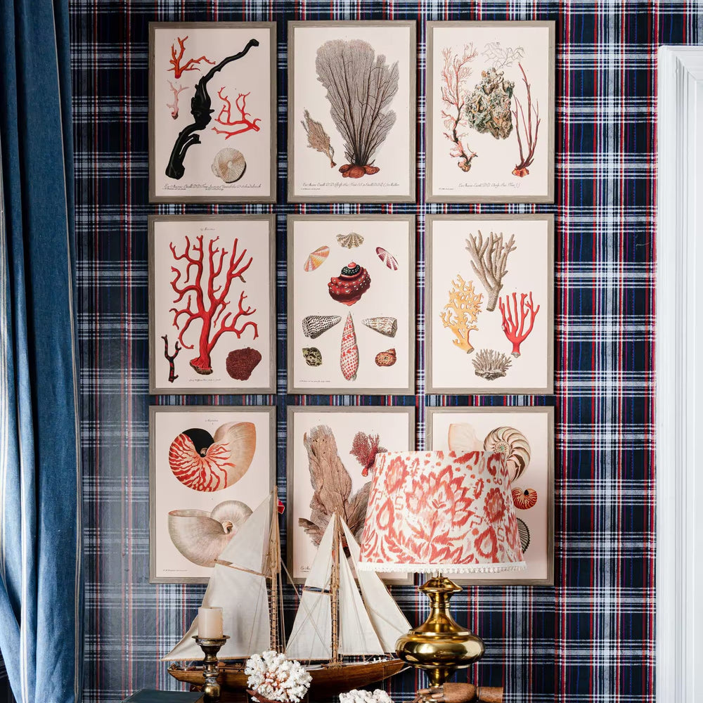 Deliciae Naturae VIII Framed Art