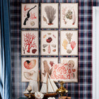 Deliciae Naturae VIII Framed Art