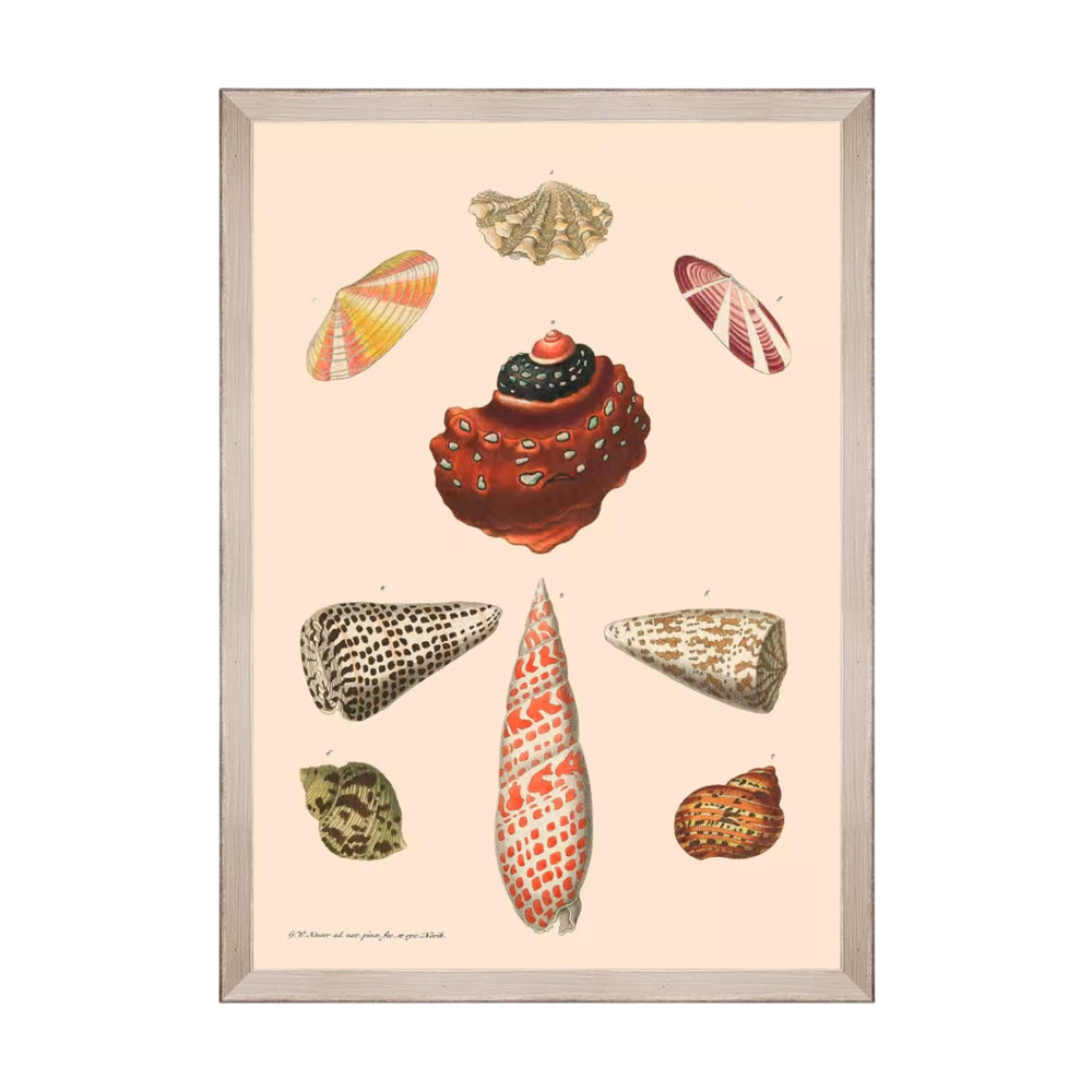 Deliciae Naturae VIII Framed Art