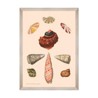 Deliciae Naturae VIII Framed Art