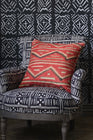 Eyedazzler Pillow
