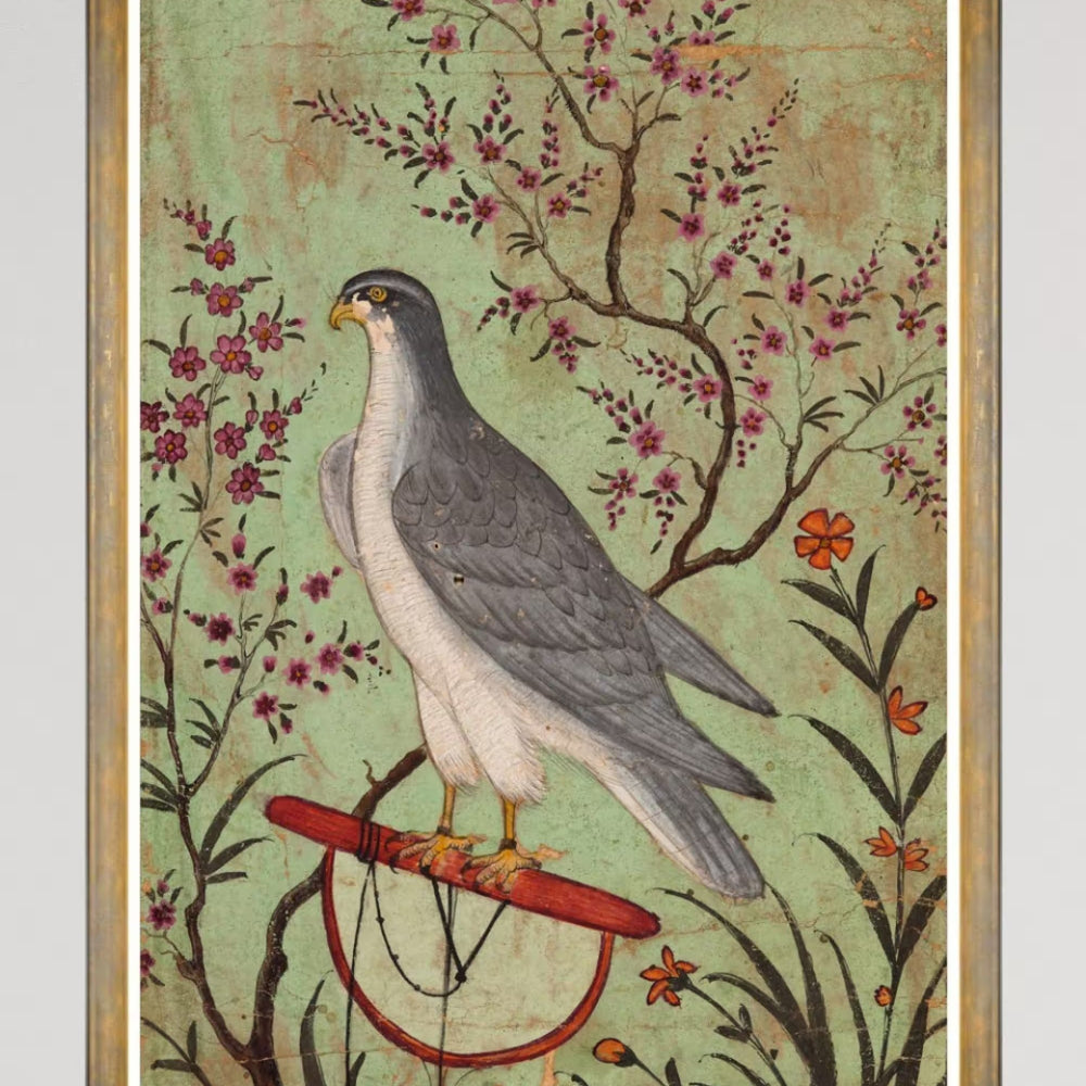 Falcon on a Perch Framed Art
