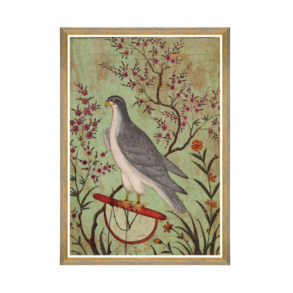 Falcon on a Perch Framed Art