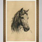 Head of a Horse by Heywood Hardy Framed Art