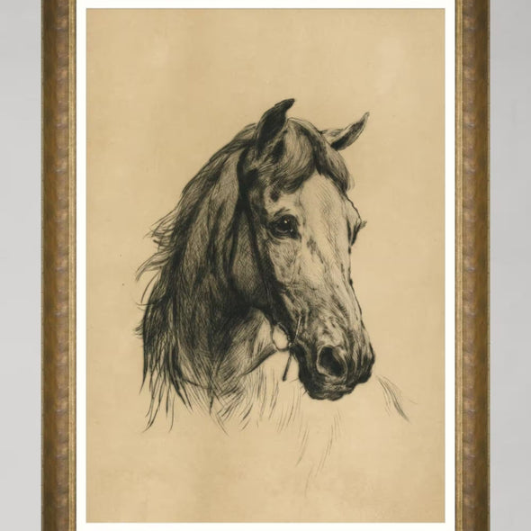 Head of a Horse by Heywood Hardy Framed Art