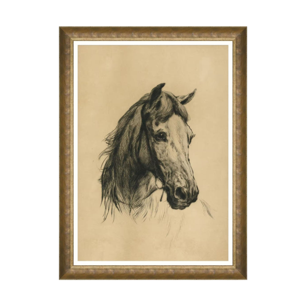 Head of a Horse by Heywood Hardy Framed Art