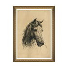 Head of a Horse by Heywood Hardy Framed Art