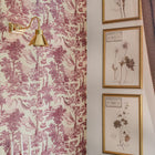 Herbarium Alpinium III Framed Art