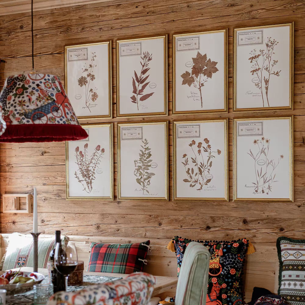 Herbarium Alpinium III Framed Art