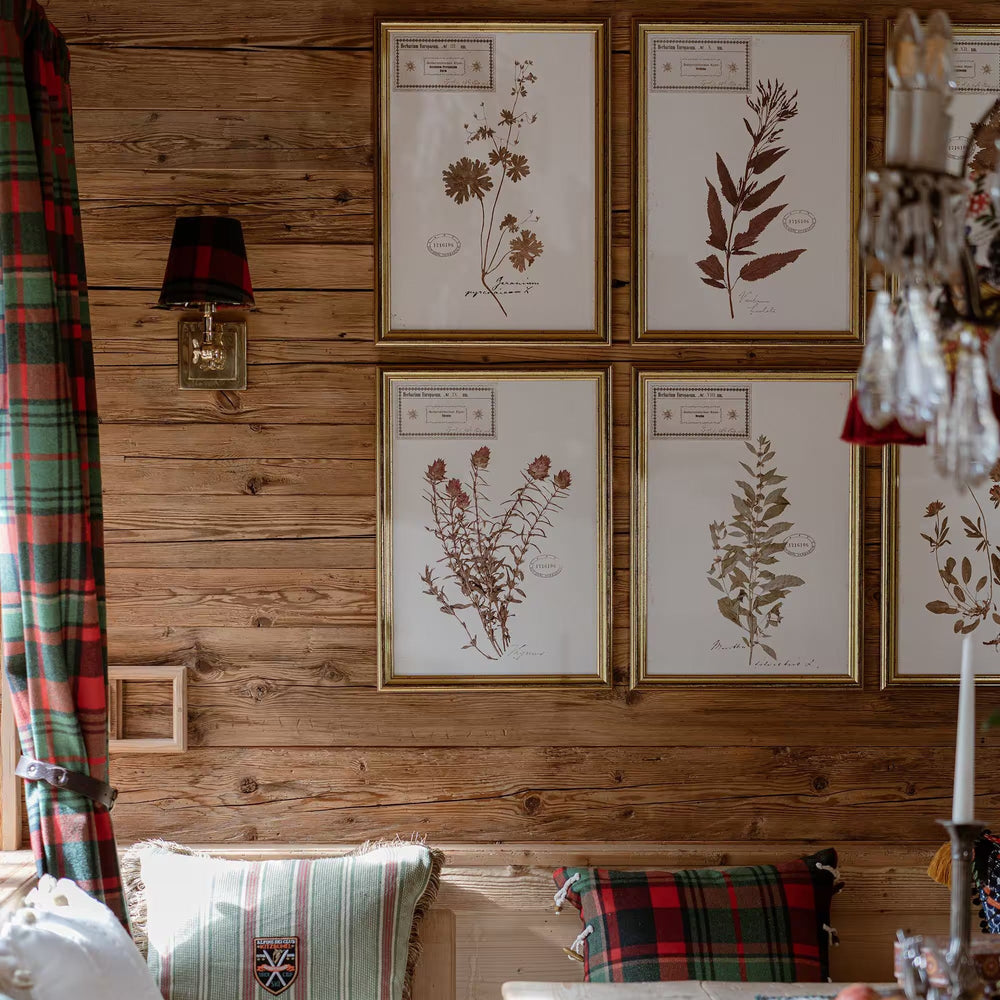 Herbarium Alpinium X Framed Art