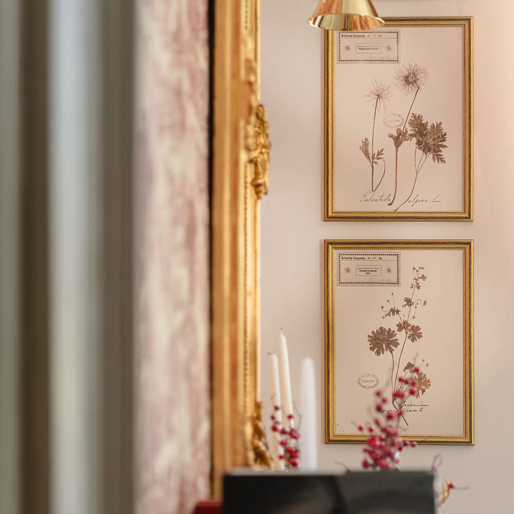 Herbarium Alpinium XI Framed Art