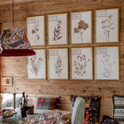 Herbarium Alpinium XII Framed Art