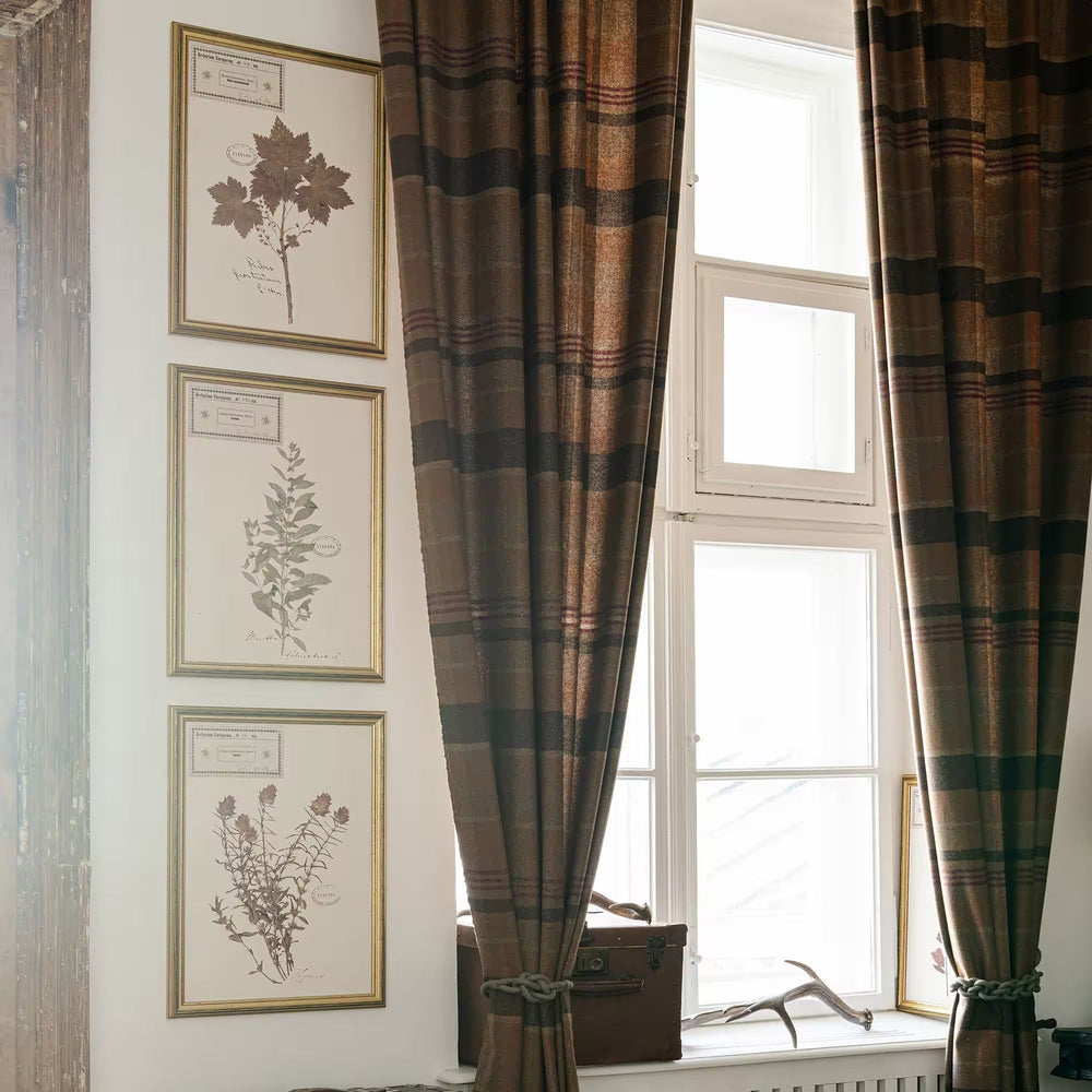 Herbarium Alpinium XII Framed Art