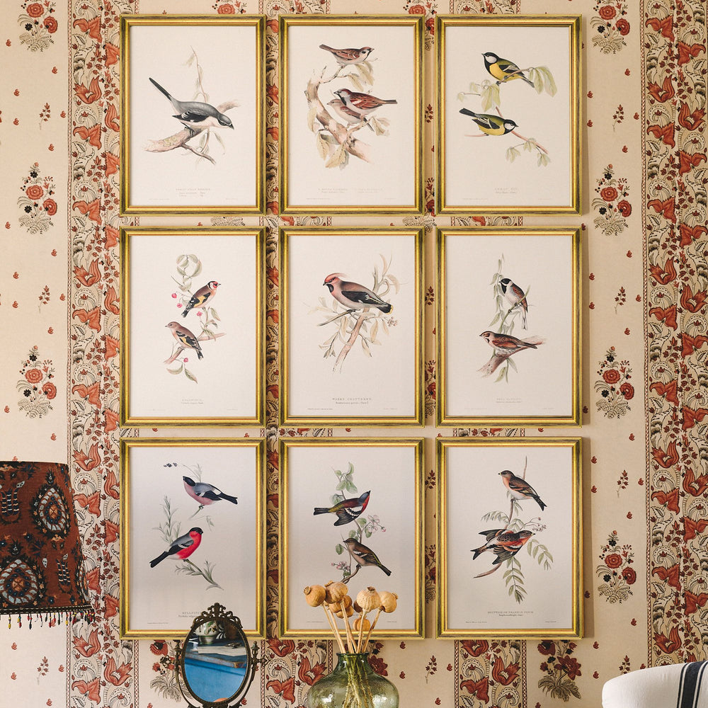 Mountain of Bramble Finch Framed Art