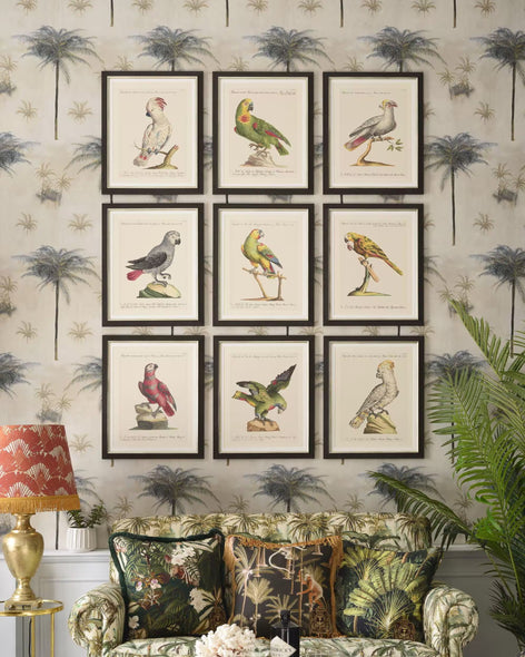 Parrots of Brazil VIII Framed Art