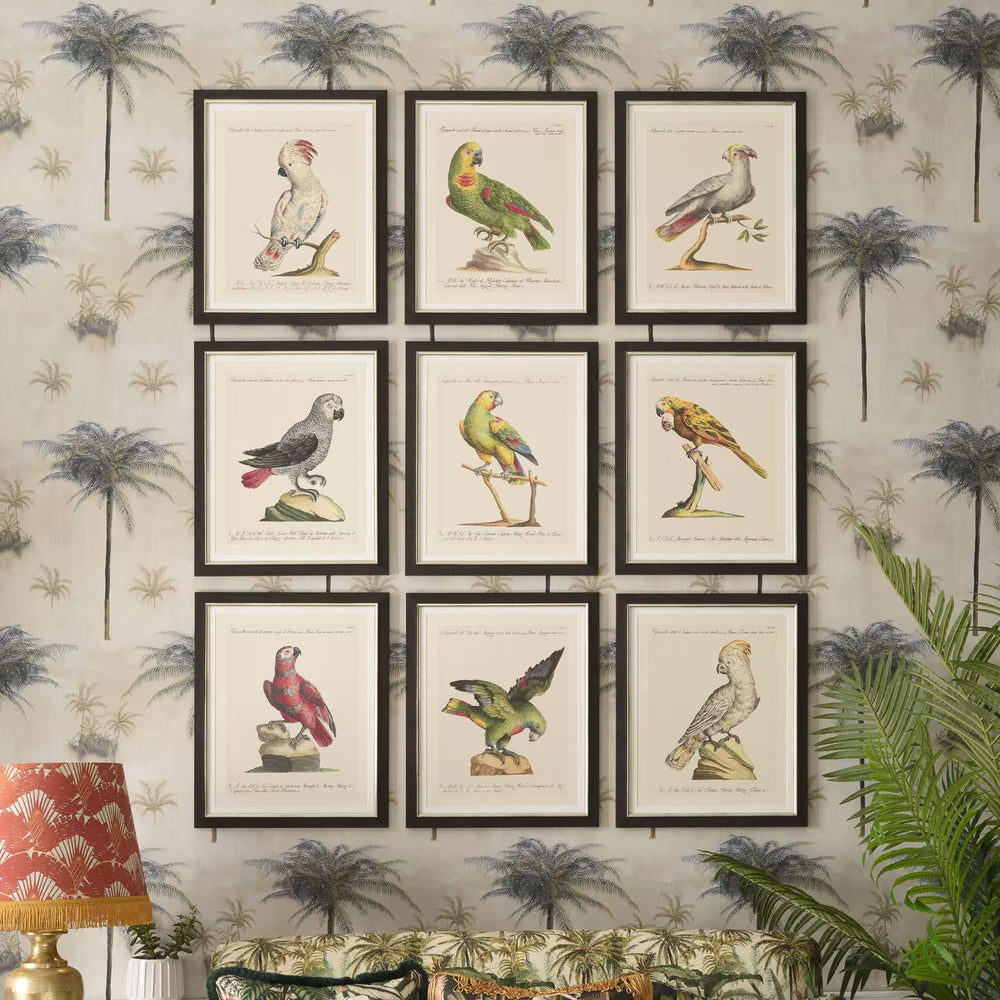 Parrots of Brazil XI Framed Art