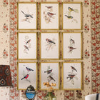 Reed Bunting Framed Art