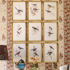 Sparrow Framed Art