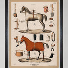 The Riding Equipment I Framed Art