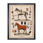 The Riding Equipment I Framed Art
