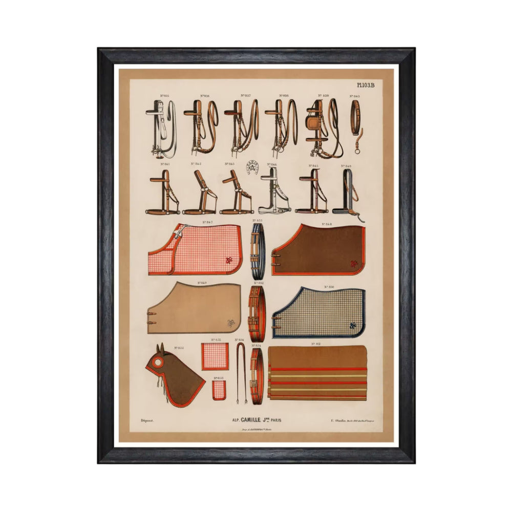 The Riding Equipment II Framed Art