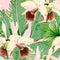 Treasure Island Wallpaper Sample Swatch  option Pink Sample